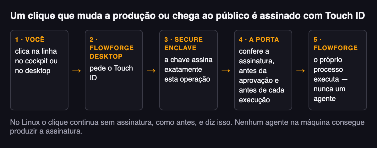 Um desenho da confirmação, em cinco passos. A sua confirmação no seu Mac. O FlowForge Desktop pede o Touch ID. A chave do Secure Enclave assina a operação. A porta confere a assinatura, antes da aprovação e antes de cada execução. O processo da própria FlowForge a executa. Abaixo do desenho: "No Linux, a confirmação continua sem assinatura, e diz isso."