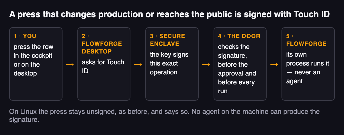 A drawing of the press, in five steps. Your press on your Mac. FlowForge Desktop asks for Touch ID. The Secure Enclave key signs the operation. The door checks the signature, before the approval and before every run. FlowForge's own process runs it. Under the drawing: "On Linux the press stays unsigned, and says so."